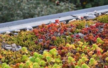 the cost of Brae Of Achnahaird green roof installation