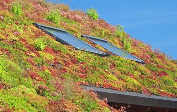 Brae Of Achnahaird living roof systems